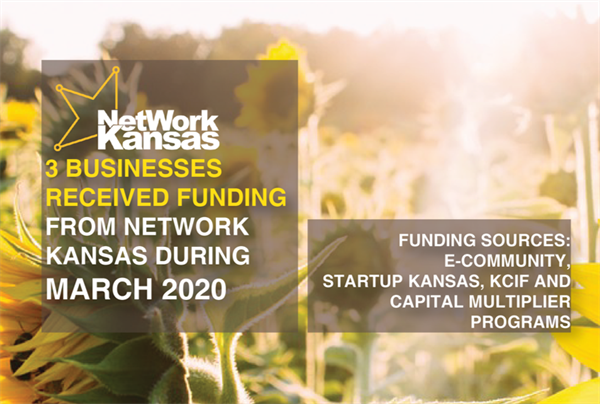 NWKS Number of Loans_March 2020